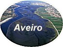 Zoom to Aveiro Lagoon